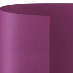 Burano Rosa Shocking