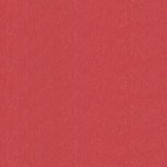 Jupiter 120, 240 y 285 Gr-Stardream