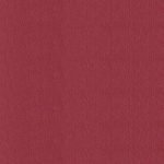 Mars120 y 240 Gr-Stardream