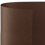 Remake Autumn (Café)