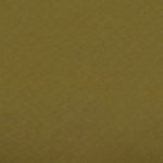 Cartulina Artecolor light Brown 7