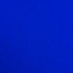 Curious Blue Planet 360gr