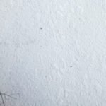 Papel Helecho Éxtasis Blanco-Artisan