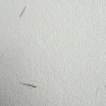 Papel Cascarilla Marfil-Artisan