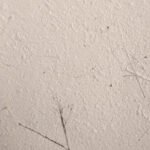 Papel Helecho Marfil - Artisan