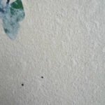 Papel Mariposa Marfil - Artisan